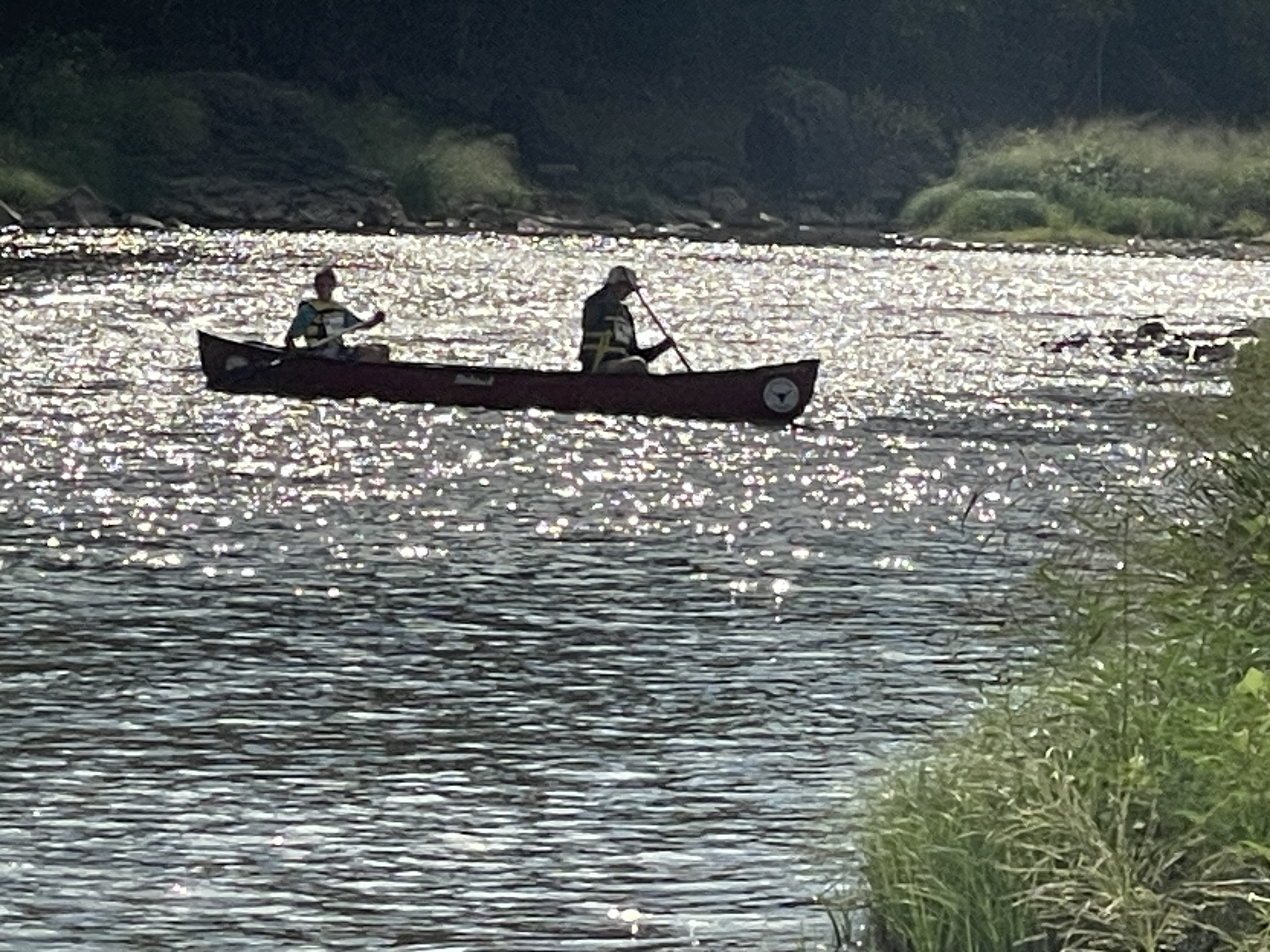 Scouts on the water during a troop outing